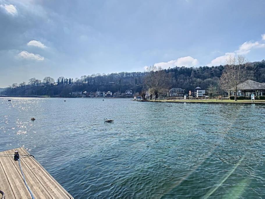 Vue Sur Meuse Avec Jacuzzi Et Sauna Exterieur. Yvoir Exterior foto