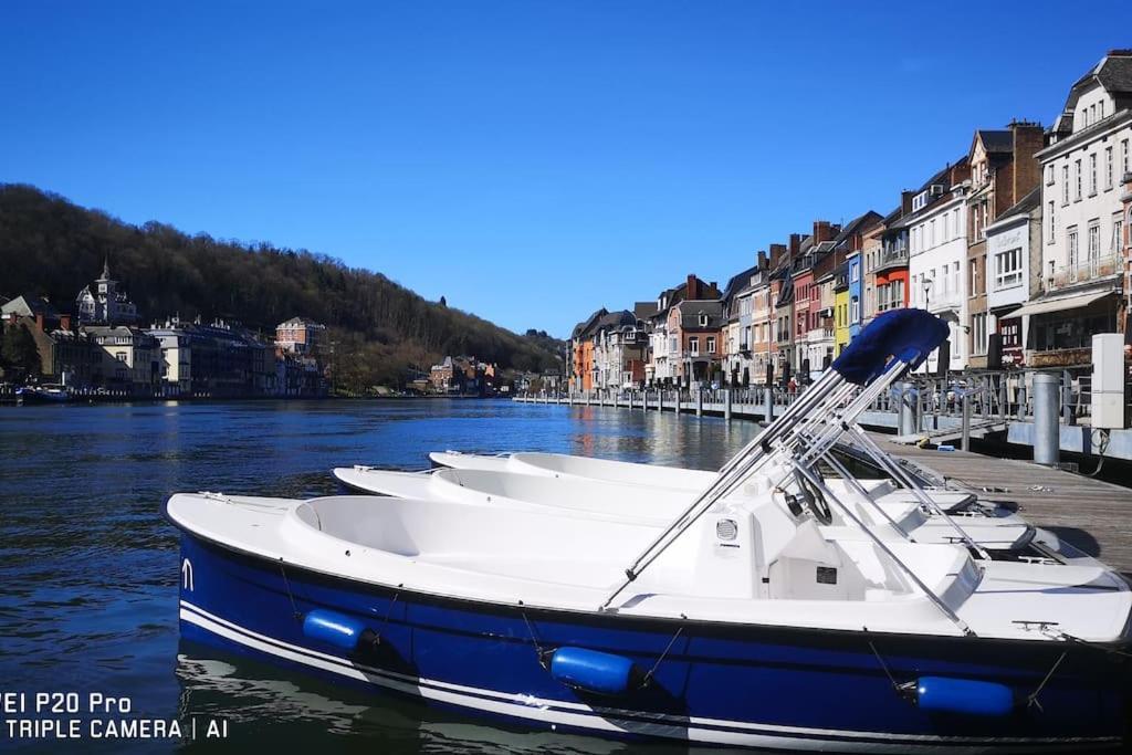 Vue Sur Meuse Avec Jacuzzi Et Sauna Exterieur. Yvoir Exterior foto
